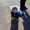 2012-11-le fromage_61